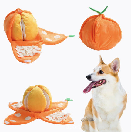 OrangeQuest™ Hide-and-Seek Toy 🍊🐾 Sniff. Search. Smile.