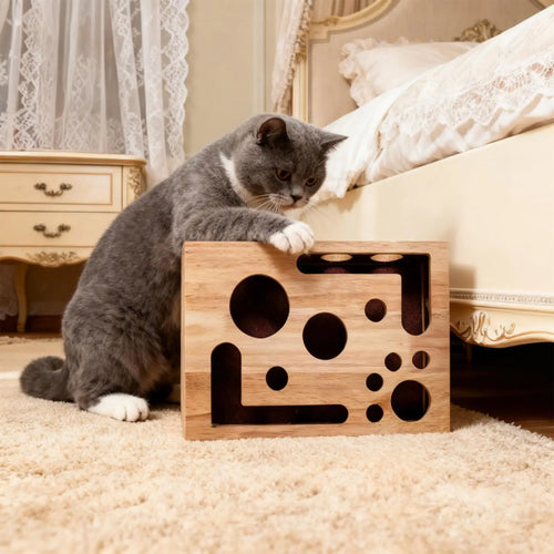 PawPerfect™ Scratch & Play Box 🐾🎯